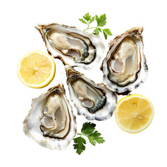 Wall Mural - fresh oysters and lemon on png background