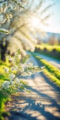 Wall Mural - beautiful spring and summer natural panoramic pastoral landscape with blooming field of daisies in the grass in the hilly countryside, vertical orientation