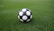 © Martina - Nighttime soccer competition under the spotlight on a striped turf field