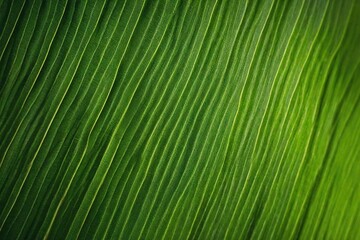 Sticker - green leaf texture