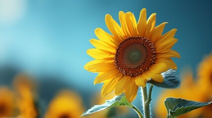 Wall Mural - A close up of a sunflower with green leaves and blue sky, AI