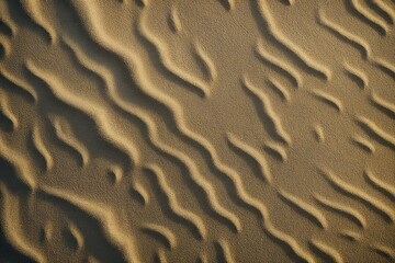Wall Mural - texture of sand