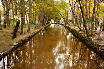 Poster - Scenic autumn landscape at Covao D'Ametade in Portugal