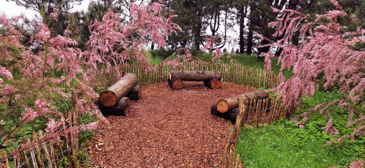 Wall Mural - Detail of Keukenhof park, botanical garden in the Netherland