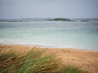 Wall Mural - Tall green grass on a sandy dune and stunning turquoise color ocean water and blue cloudy sky. West coast of Ireland. Calm and relaxing mood. Travel and tourism. Irish landscape.