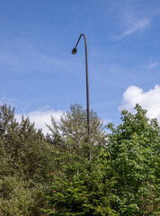 Wall Mural - street light against a blue sky