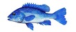 © Dekastro - blue fish watercolored illustration with nice details isolated on a white background