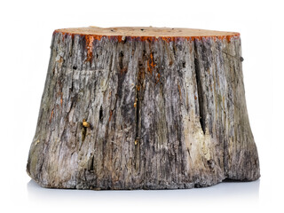 Sticker - old tree stump isolated on white background.