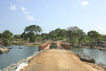 bridge over the river