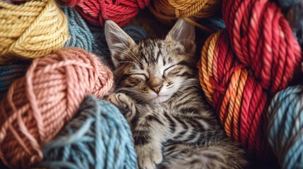 Poster - A tabby kitten naps surrounded by bundles of yarn at a low angle indoors