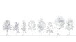 © Pascal - Minimal style cad tree line drawing, Side view, set of graphics trees elements outline symbol for architecture and landscape design drawing.