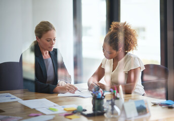 Poster - Woman, client and financial advisor in meeting for contract, discussion and consulting for investment. Glass, explain or accountant in office speaking of advice or compliance for terms and conditions