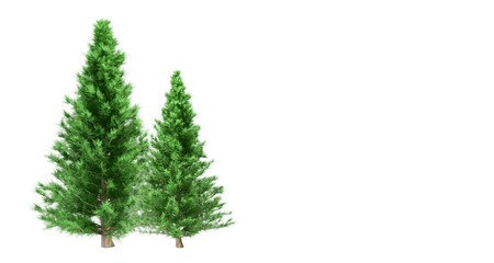 Wall Mural - christmas tree isolated on white