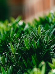 Sticker - lush green foliage in natural light