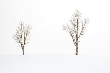 Poster - Two bare trees in a snowy field