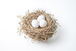 © Rysak - Three white eggs in a bird's nest