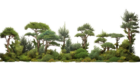 Fototapete - A miniature landscape with small evergreen trees, rocks, and moss