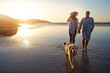 © peopleimages.com - Happy, couple and beach with dog at sunset for outdoor travel, summer holiday and vacation together. Man, woman and holding hands with furry pet by ocean for trust, love and adventure in Sweden