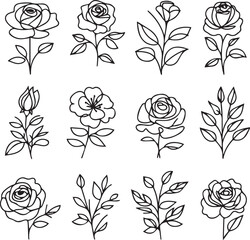 Wall Mural - One line drawing Set of a decorative fresh blossoming rose silhouette with leaves isolated on white background hand drawn sketch. Vector stock illustration