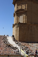 Wall Mural - Classic architecture in the town of Labastida, Spain