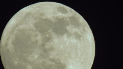 Wall Mural - Full Moon in Extreme Close-up with Crater Details Visible