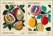 © Creative_Juice_Art - Set of Abstract Fruit Market retro posters. Trendy contemporary wall arts with passion fruit, maracuya design Modern naive groovy funky interior decorations, paintings. Vector illustrations.