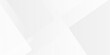 © MdLothfor - Vector abstract lines white square triangle wave technology minimal creative lined digital Shapes. abstract modern white and grey gradient color geometric line pattern background for website banner.