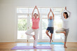 © GR/peopleimages.com - Yoga, tree pose and couple with instructor for fitness, health and retirement wellness in studio. Workout, senior man and woman on mat for pilates, balance or body care exercise together with teacher