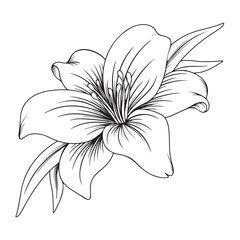 Wall Mural - tattoo and t-shirt design black and white hand drawn flower