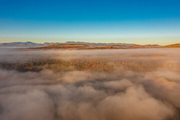 Wall Mural - Top dron view through clouds on orange and green trees in fog at dawn in autumn. Nature background.