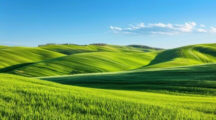 Wall Mural - serene green field landscape with rolling hills and clear blue sky idyllic nature scenery