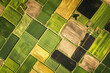 © alexandr - Aerial view of farmland with fields in different colors including green brown and yellow creating a patchwork effect