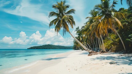 Wall Mural - A coastal view with wonderful sand