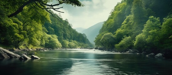 Wall Mural - Scenic view of a river with a lush forest in the backdrop, ideal for a copy space image.