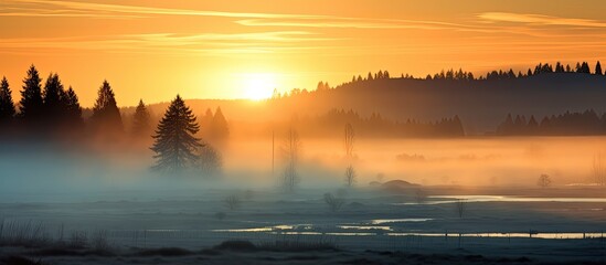 Wall Mural - Morning fog envelops the rising sun, creating a serene copy space image.