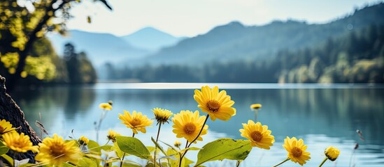 Poster - Selective focus on yellow mountain flowers by the lake with ample copy space image.