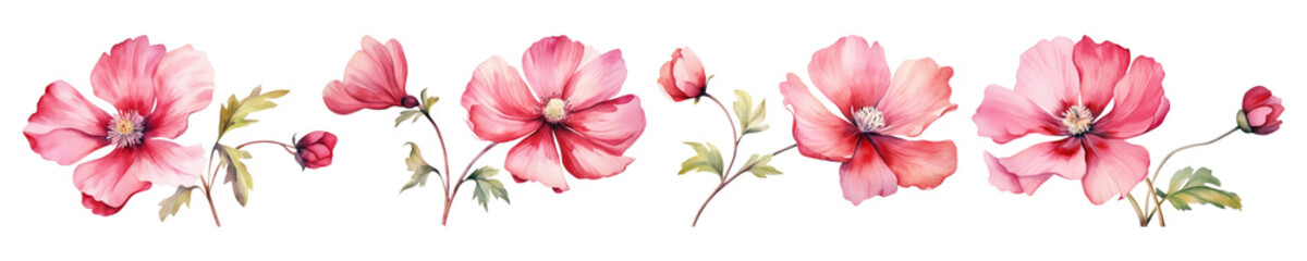 Wall Mural - Blossom flower watercolor set