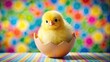 © surapong - Easter card motif with yellow chick hatching from egg on vibrant background, Easter, card, motif, yellow chick, egg, hatching, vibrant, background, cute, spring, celebration, holiday