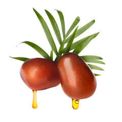 Wall Mural - Oil dripping from palm fruits on white background