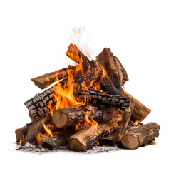 Canvas Print - burning firewood on an isolated white background