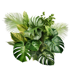 Poster - bunch or tropical leaves as a corner design element on an isolated white background