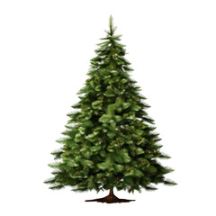 green christmas tree isolated