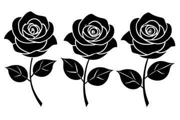 Wall Mural - rose flower set silhouette vector illustration