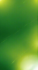 spider web with dew