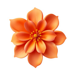 Poster - Orange flower isolated on transparent background, png, cut out.