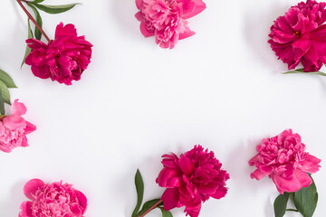 Wall Mural - flower composition with peonies. pink peonies on white background. birthday, wedding, mother's day, 