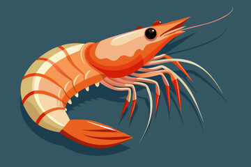 Canvas Print - shrimp vector illustration