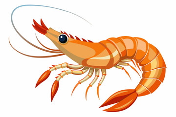 Canvas Print - shrimp vector illustration