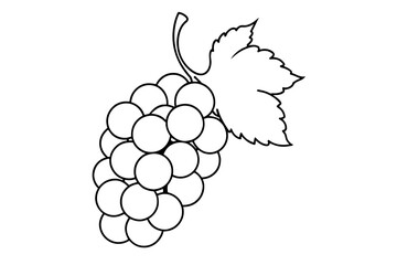 Wall Mural - line art of grapes