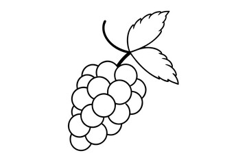 Wall Mural - line art of grapes